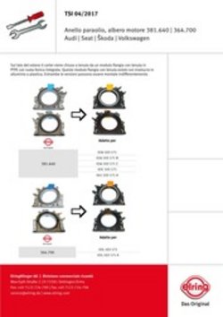 TSI 04/2017 Anello paraolio, albero motore 381.640 | 364.700 Audi | Seat | Škoda | Volkswagen